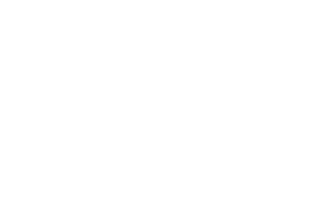 Partnership Icon